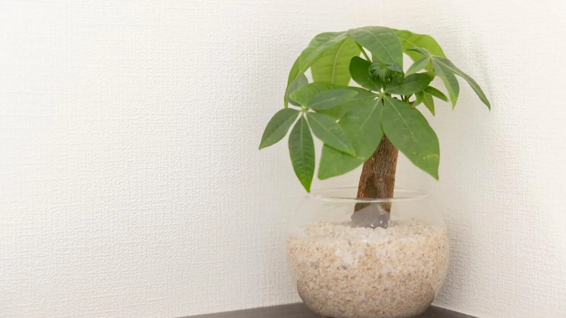 Apartamento Skytree View Kinshicho - Self Check-In Only Tokio